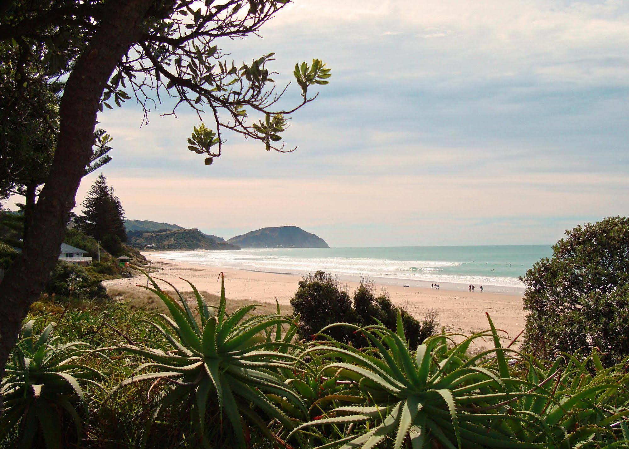 Ocean Beach Motor Lodge Gisborne Exteriör bild